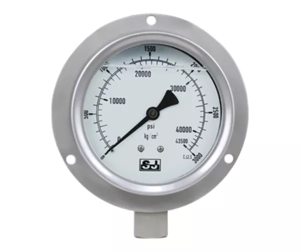 Stainless Steel Series Pressure Gauges, Thermometers and Smart