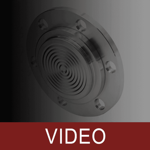 DIPI Diaphragm Seal for Pulp and Paper Industry