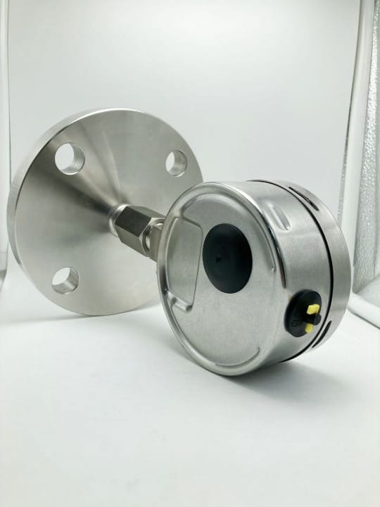 Flanged diaphragm seal pressure measurement assembly